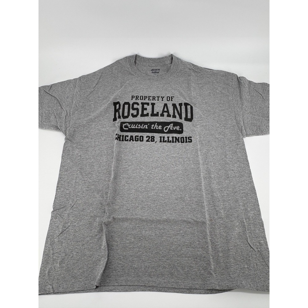 Gildan T-Shirt Mens XL Tee Gray Property of Roseland Chicago Illinois DryBlend
